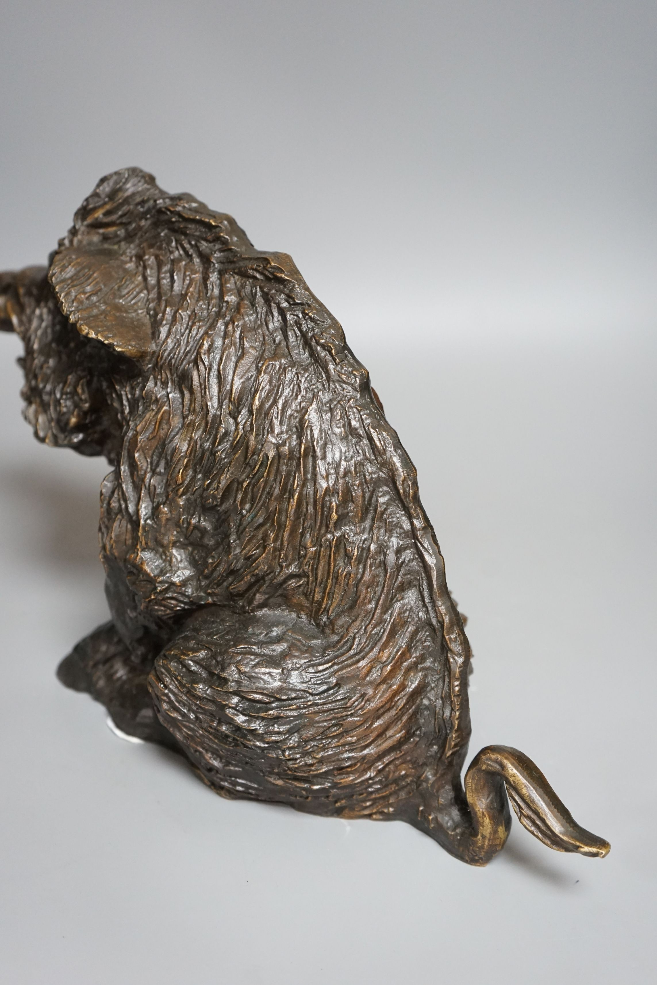 A 20th century cast bronze model of a seated boar, numbered ‘14’, height 24cm